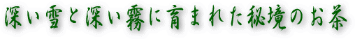 お茶の産直　八女茶通販
