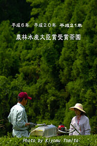 農林水産大臣賞　受賞茶園
