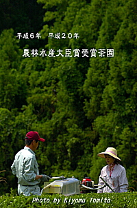 農林水産大臣賞　受賞茶園　平成6年、平成20年